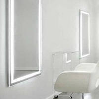 Electric Mirror Integrity Lighted Mirror
